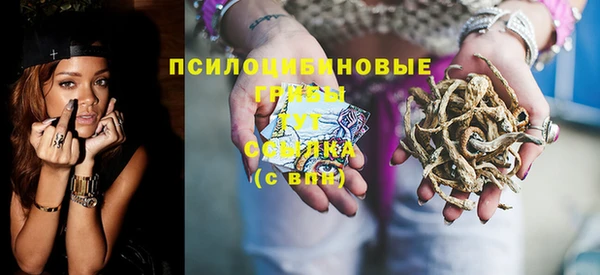 гидропоника Алзамай