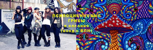 PSILOCYBIN Алексин