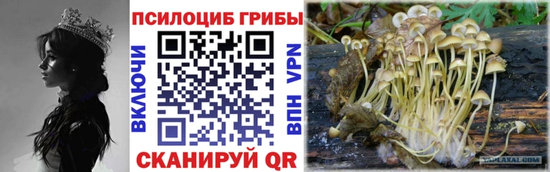 Галлюциногенные грибы ЛСД  продажа наркотиков  мега как зайти  Усть-Лабинск 